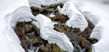 GOPR1084_1584648114064_high (2) (1)