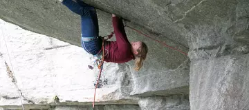 c8f00c03-e1d4-456a-b1f5-8b01d800a4db