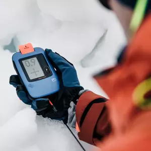 lavinové vyhledaváče