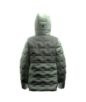 stdb2c_16536.png