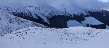 PXL_20220209_133431268 (1) (kopie)