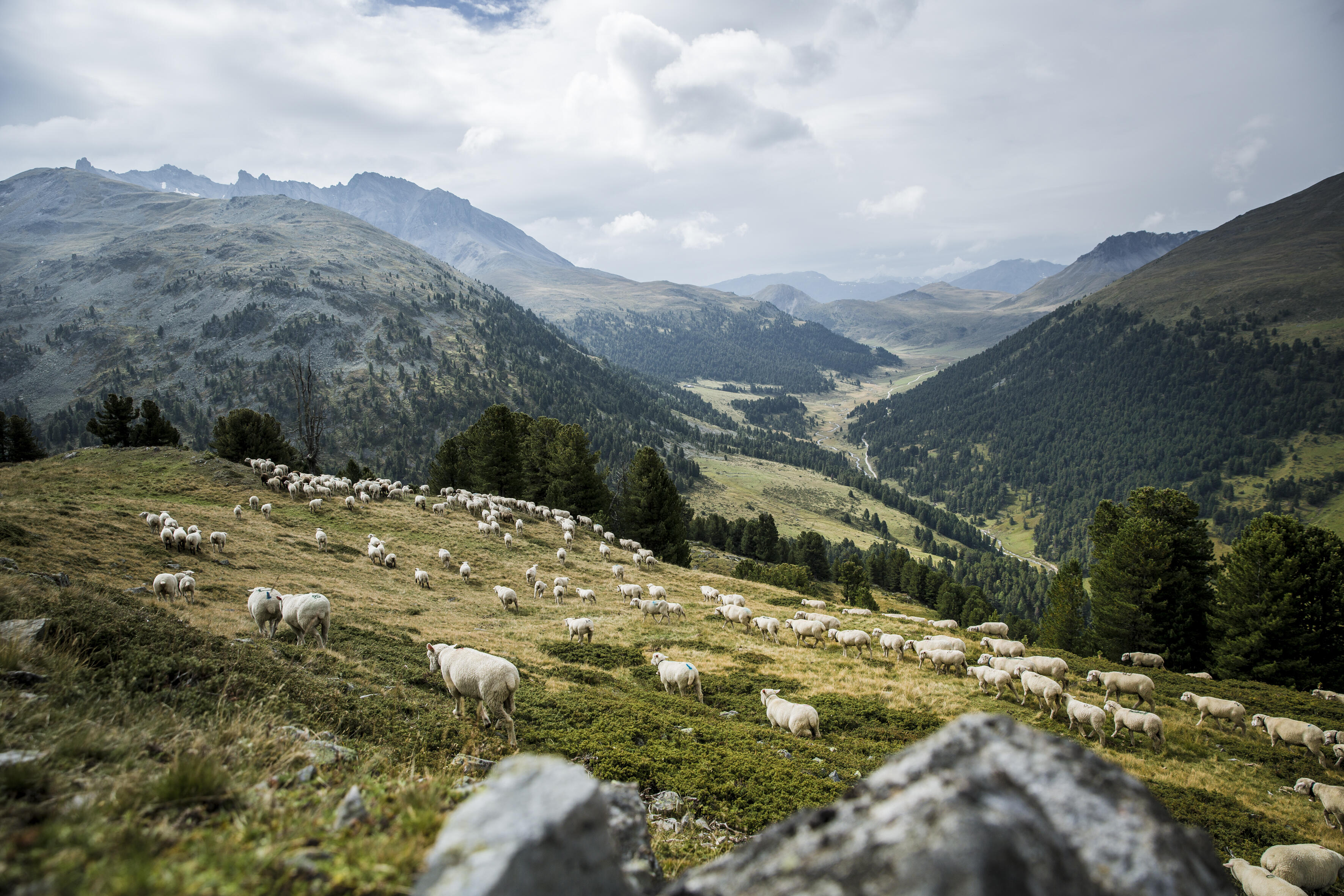 ORTOVOX_SWISSWOOL_WS2324_HHeckmair_V8A9357