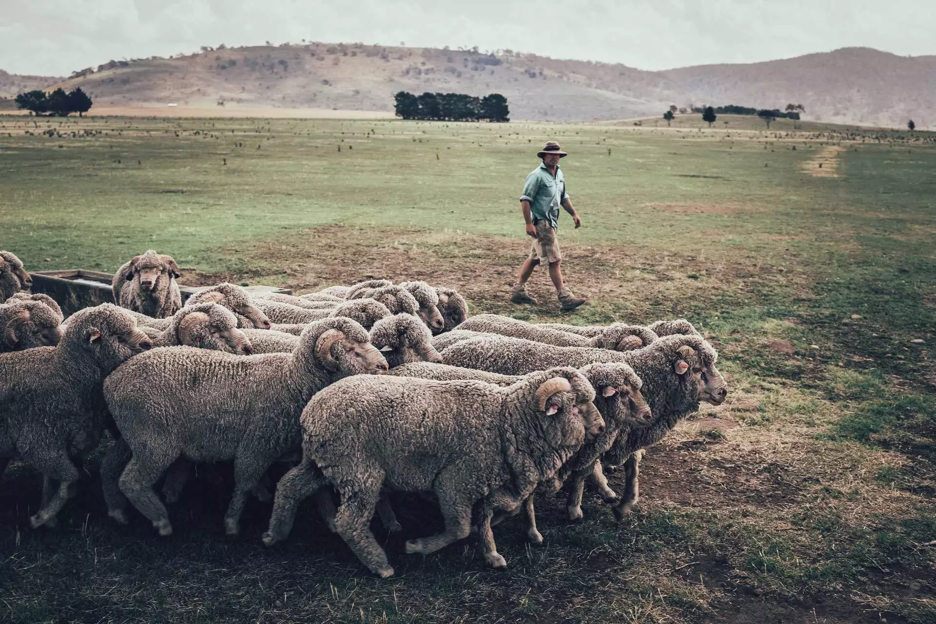 ORTOVOX-Tasmania-Story-FranzWalter-21