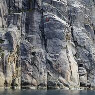 3fd1c732-115f-4578-976a-35a30aa3754a