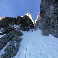 1d8fa68a-7938-43a2-89d7-f41367653f06