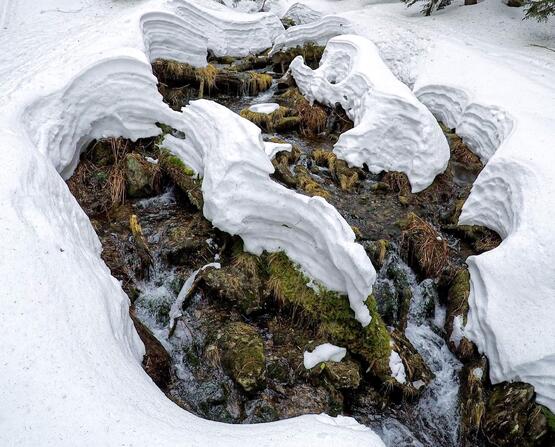 GOPR1084_1584648114064_high (2) (1)