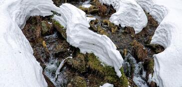 GOPR1084_1584648114064_high (2) (1)