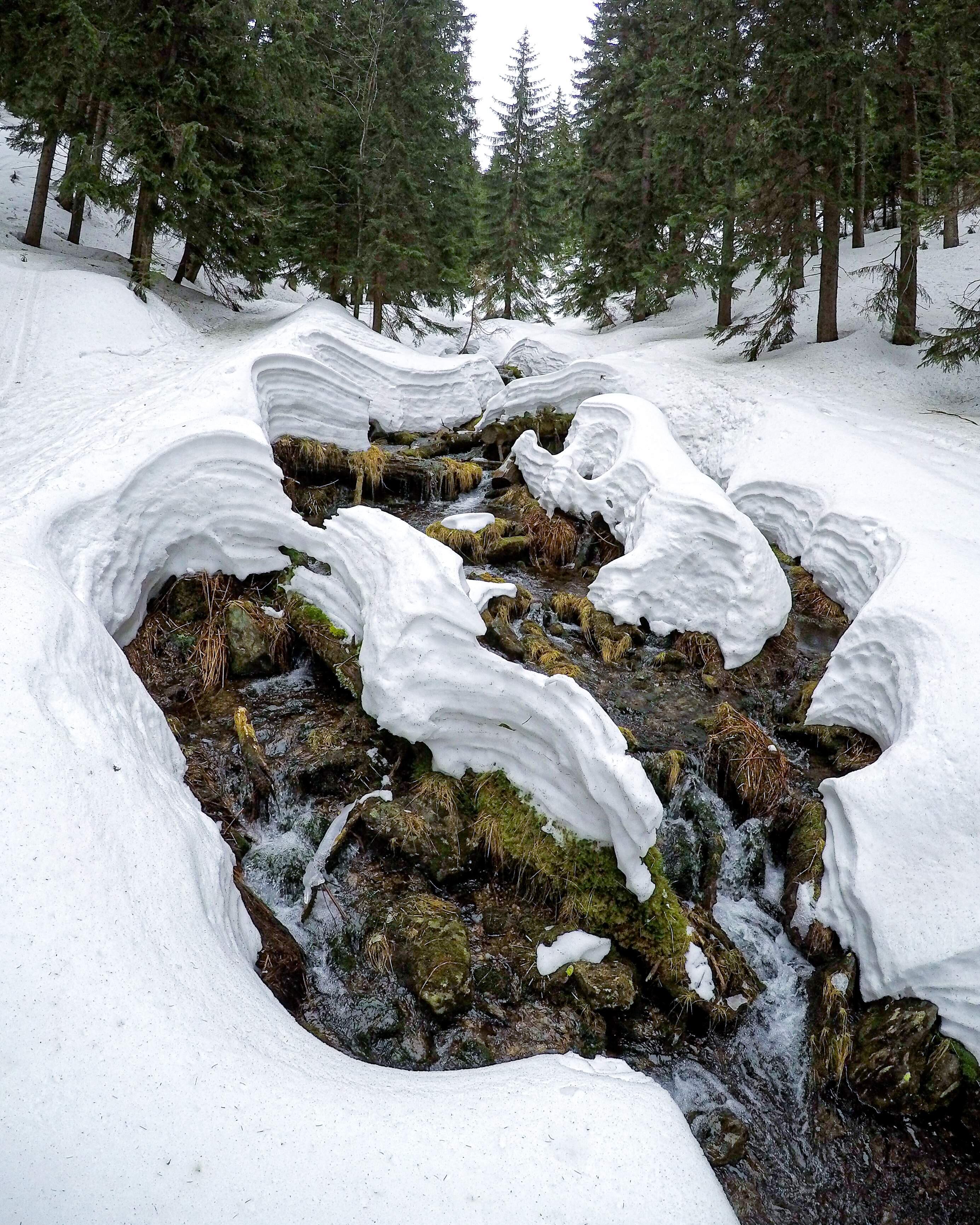 GOPR1084_1584648114064_high (2) (1)