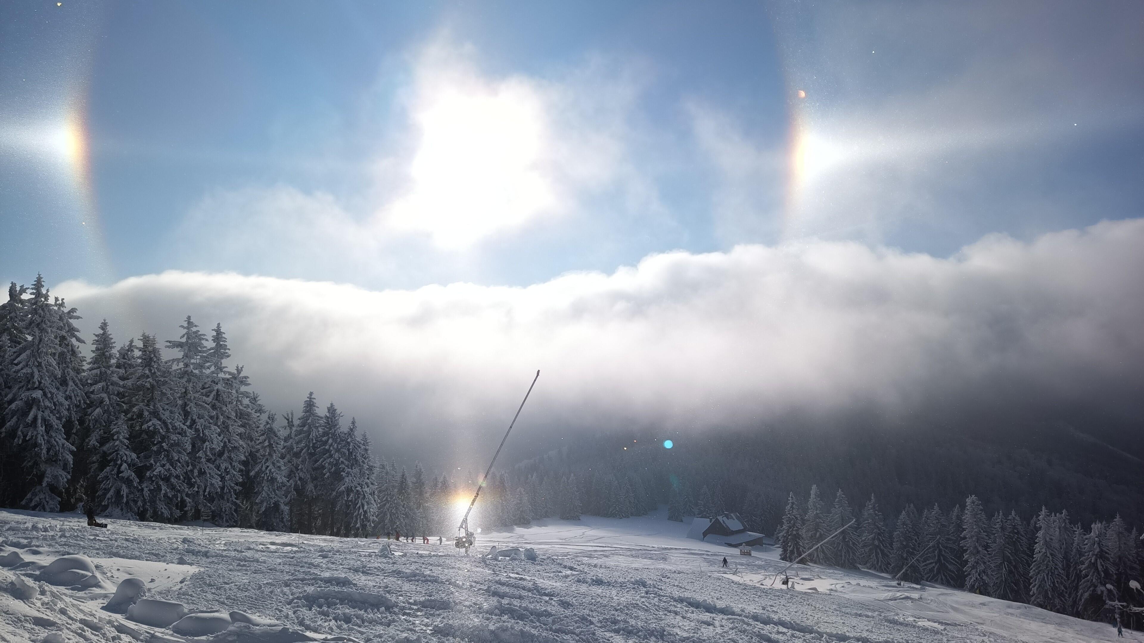 IMG_20211211_103319 (1)