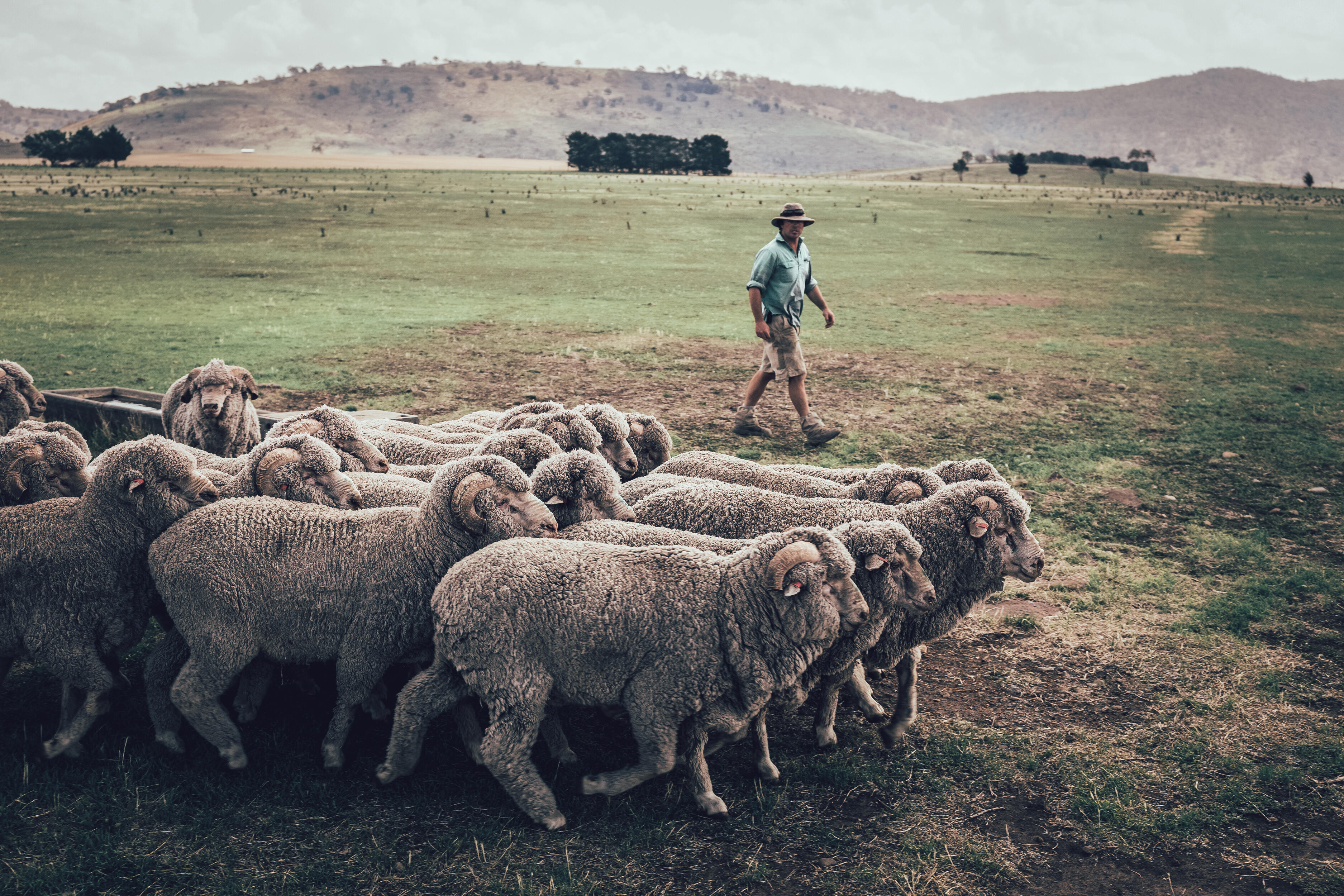 ORTOVOX Merino Wool_Franz Walter (2)_MedRes