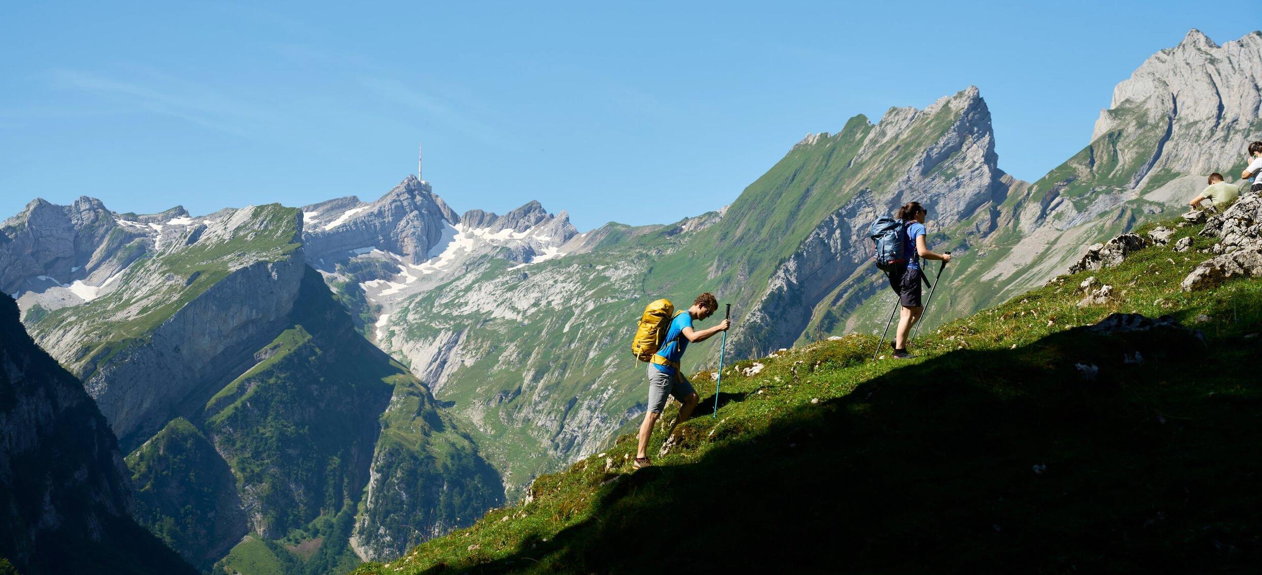 HamishFrost_2024_HF_00202 - Large