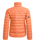 stdb2c_24019.png