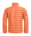 stdb2c_24029.png
