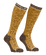 stdb2c_24358.png