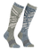 stdb2c_24361.png