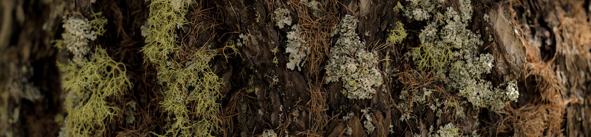 DA_2574_BIKE_SS26_MaxDraeger_MedRes