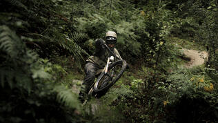 stdb2c_26967.jpg