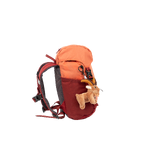 stdb2c_27175.png