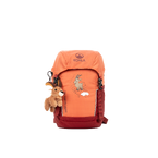 stdb2c_27176.png