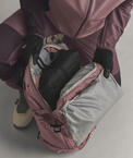 stdb2c_28433.jpg