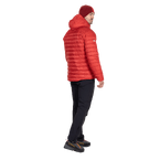 stdb2c_29559.png