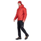 stdb2c_29565.png