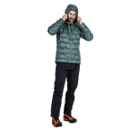 stdb2c_29719.png