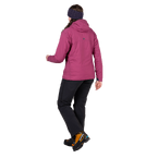 stdb2c_29879.png