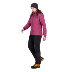stdb2c_29882.png