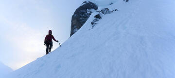 HamishFrost_2026_DSC05193 - Large