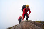 stdb2c_31311.jpg