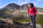 stdb2c_31725.jpg